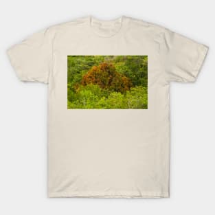 bllc mango in the jungle T-Shirt